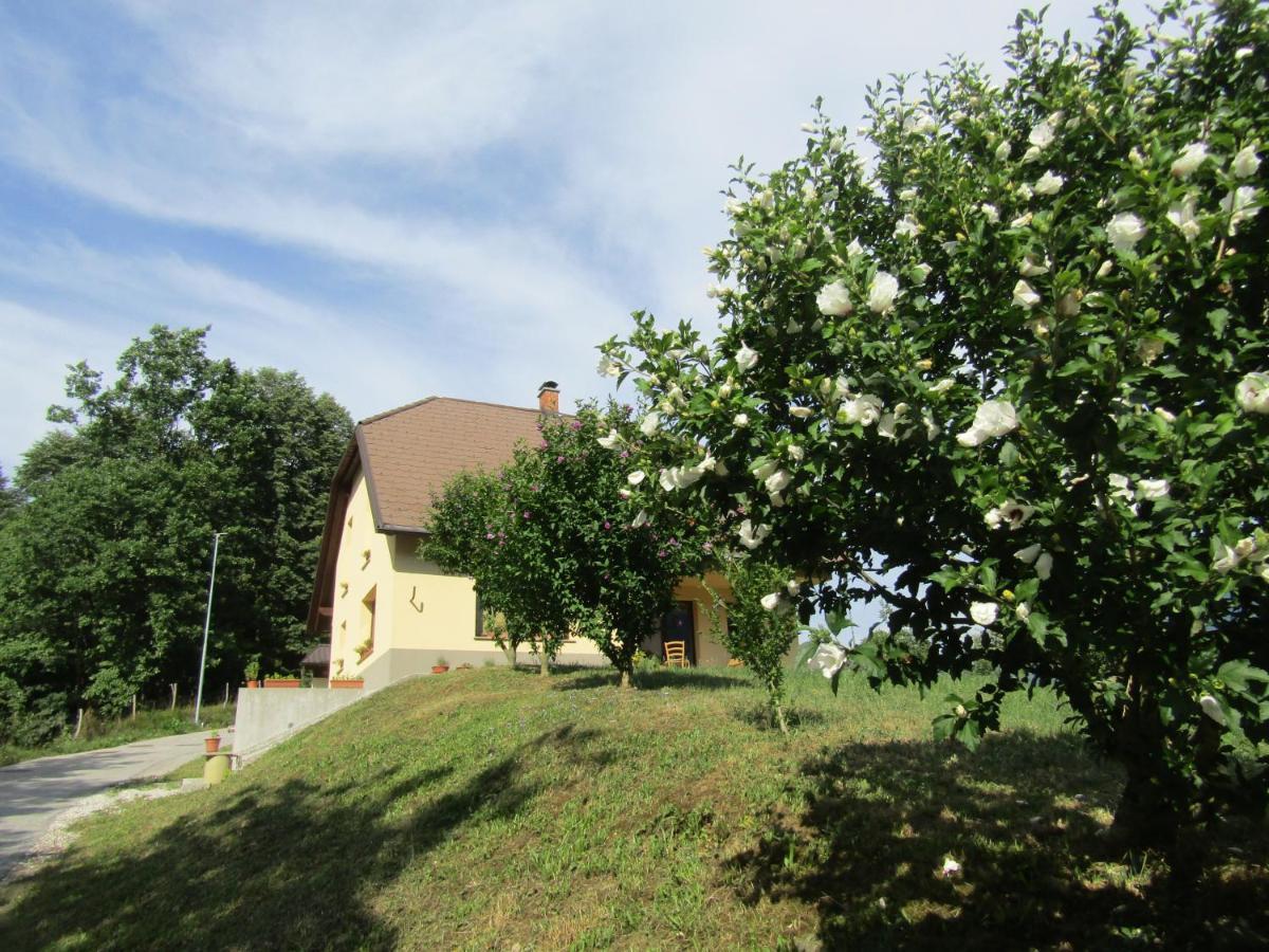 Apartma Melinc Bovec Bagian luar foto